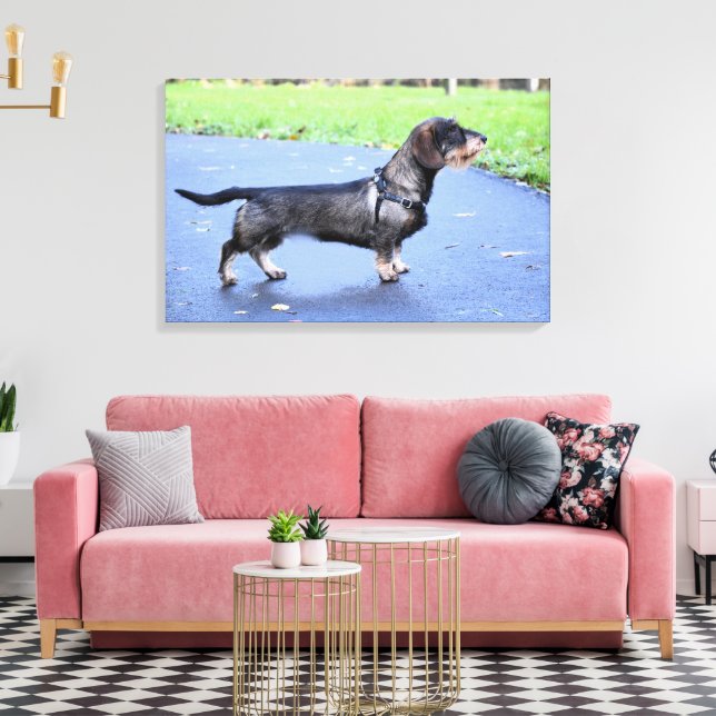 Impressão Em Tela cheio com fio dachshund (Insitu(Sala de estar))