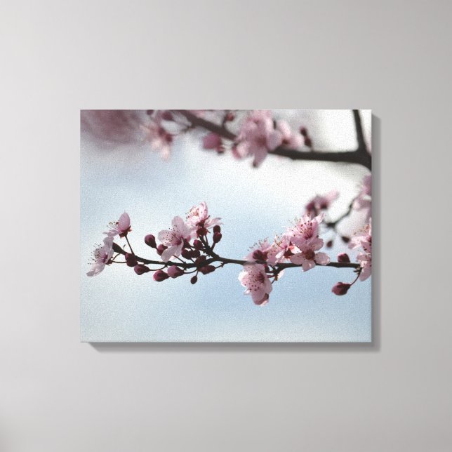 Impressão Em Tela Cherry Blossom e Sky (Frente)