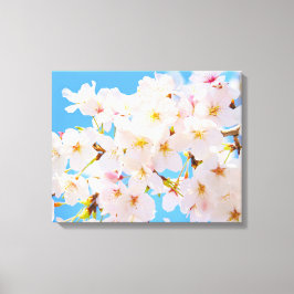 Impressão Em Tela Cherry Blossoms em Primavera