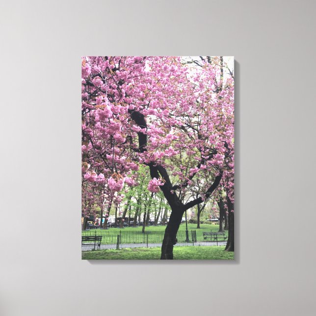Impressão Em Tela Cherry Blossoms Springtime Tree NYC Nova Iorque (Frente)
