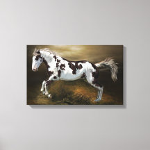 Chestnut Splash Frame Tovero Paint Horse