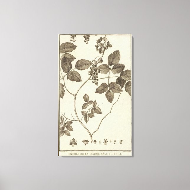 Impressão Em Tela Chile 9 (Frente)