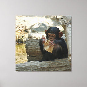 Impressão Em Tela Chimpanzé_2015_0101