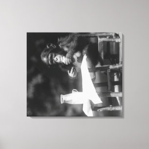 Impressão Em Tela Chimpanzé assentado na mesa no jardim zoológico