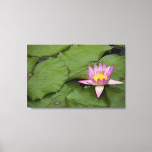 Impressão Em Tela China, Hong Kong, Novos Territórios. Chi Lin