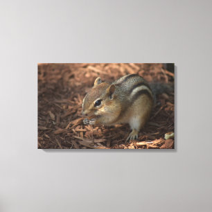 Impressão Em Tela Chipmunk
