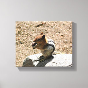 Impressão Em Tela Chipmunk em Yosemite, Califórnia