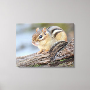 Impressão Em Tela Chipmunk pequeno simplesmente adorável