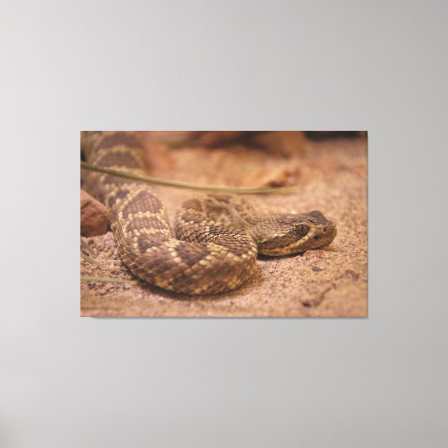 Impressão Em Tela chocalho (Frente)