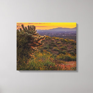 Impressão Em Tela Cholla Cactus Desert Flowers Arizona Sunset 20x16