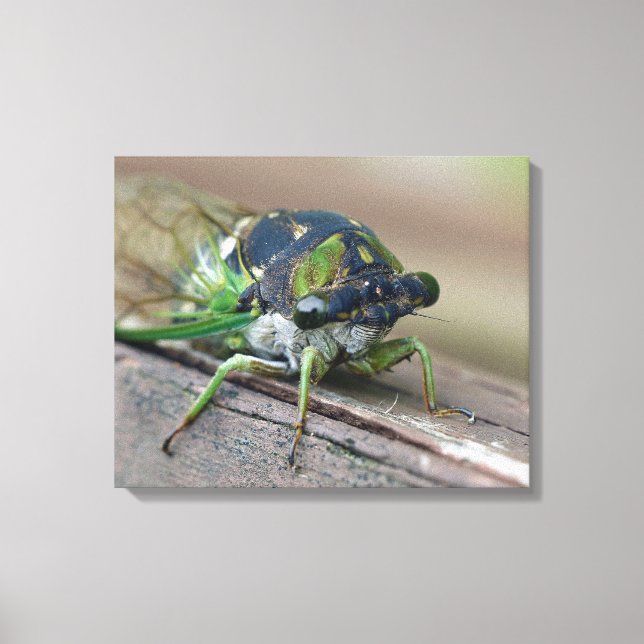 Impressão Em Tela Cicada (Frente)