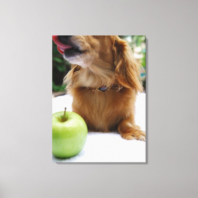 Impressão Em Tela Cingapura 2 (Frente)