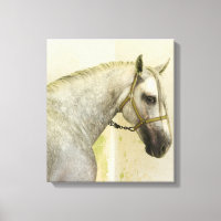 Cinza de ananás Cavalo Andaluz
