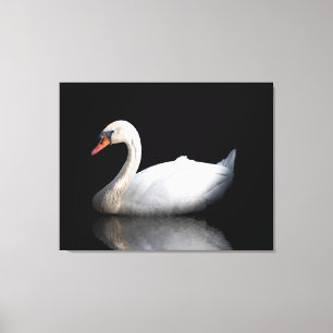 Impressão Em Tela Cisne branco sobre preto