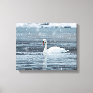 Impressão Em Tela Cisne nas condições de inverno da nevada