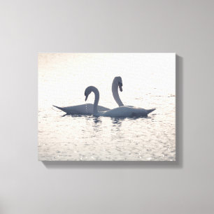 Impressão Em Tela Cisnes de corte