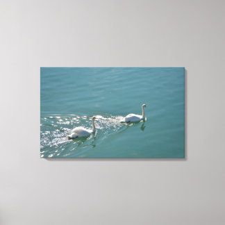 Impressão Em Tela Cisnes Iluminados pelo Sol