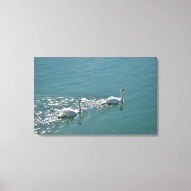 Impressão Em Tela Cisnes Iluminados pelo Sol (Frente)