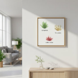 Impressão Em Tela Cladophora Desenhada À Mão, Ectocarpus Seaweed