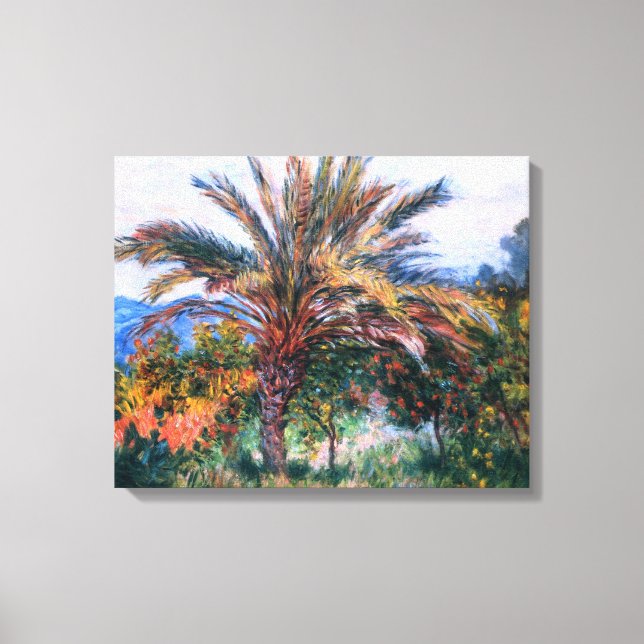 Impressão Em Tela Claude Monet: Palm Tree em Bordighera (Frente)