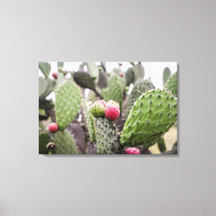 Impressão Em Tela Close Up De Cactus Pera Espinhosa