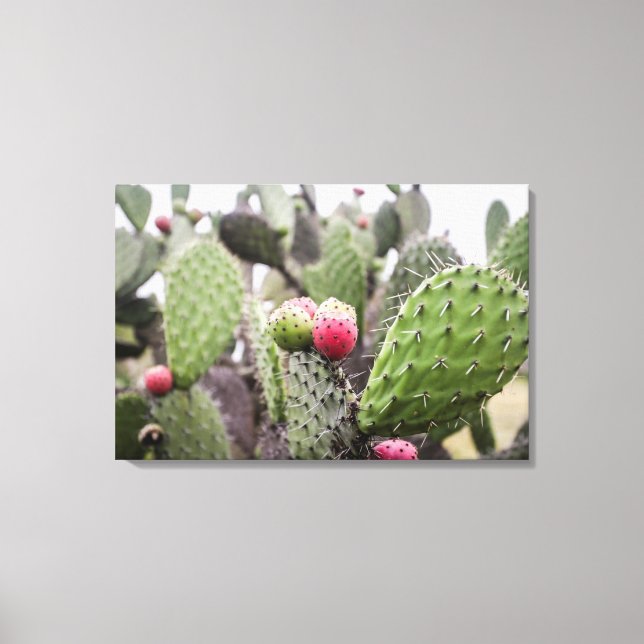 Impressão Em Tela Close Up De Cactus Pera Espinhosa (Frente)