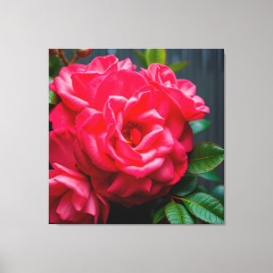 Impressão Em Tela Close-Up de Rosa Rosa Vibrante em Flor na Luz do S
