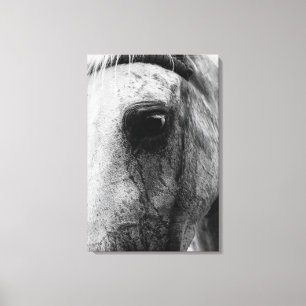 Impressão Em Tela Close-Up Portrait of a Spotted Horse Eye and Face