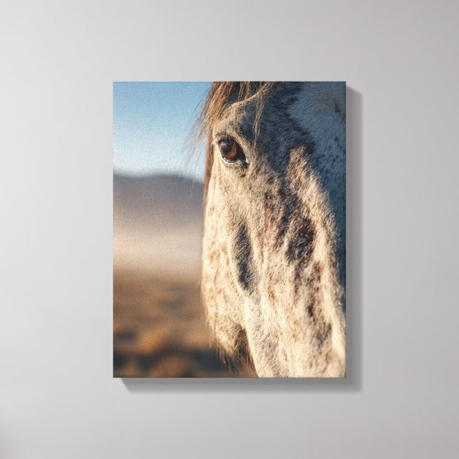 Impressão Em Tela Close-Up White Horse Sunrise Portrait (Frente)