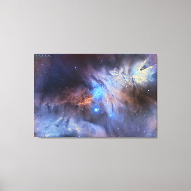 Impressão Em Tela Cluster de Árvore de Natal - Distinto (Frente)