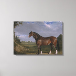 Impressão Em Tela Clydesdale Stallion (Cavalo de raça pura) (Animal)