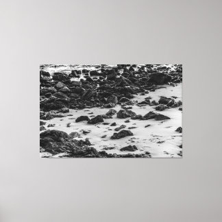 Impressão Em Tela Coastal Monochrome