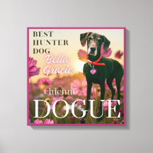 cobrir de revistas chienne dogue para cães (fêmea)
