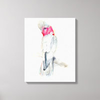 Cockatoa Aquarela