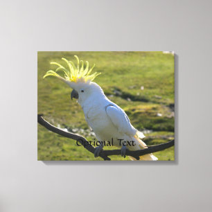 Impressão Em Tela Cockatoo Prendido de Enxofre Amarelo australiano