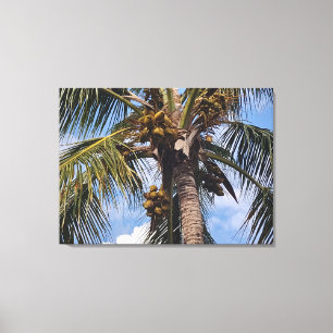 IMPRESSÃO EM TELA COCO PALM