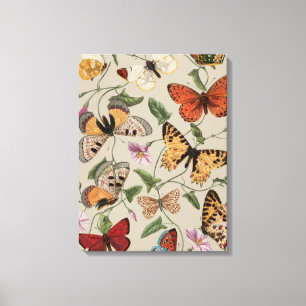Impressão Em Tela Coleção de Desenhos de Mariposa Borboleta Natureza