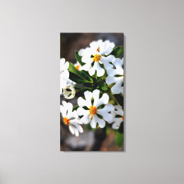 Impressão Em Tela coleção de flora da primavera de flor branca