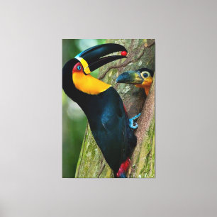 Impressão Em Tela Coleção Onaitsirc Infinity de quadros de tela.