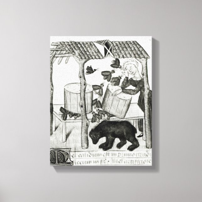 Impressão Em Tela Coletar Mel (Frente)