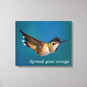Impressão Em Tela Colibri Rufous