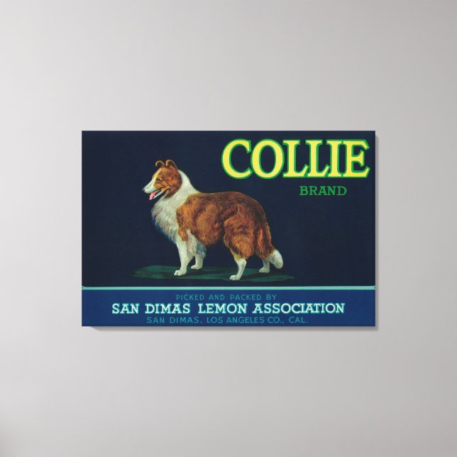 Impressão Em Tela Collie Lemon LabelSan Dimas, CA (Frente)