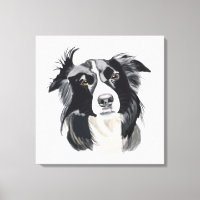 Collie New Design