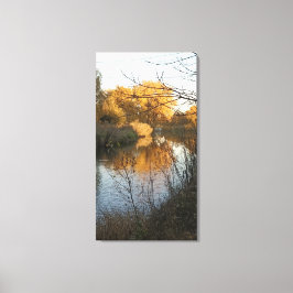 Impressão Em Tela Colorado Beauty