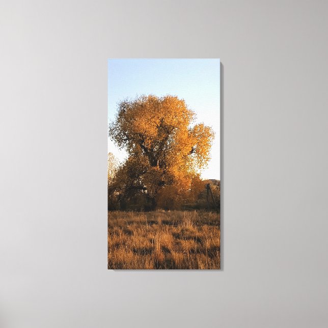 Impressão Em Tela Colorado Beauty (Frente)