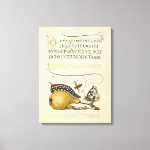 Impressão Em Tela Coluna Vintage Insetos À Borboleta Da Abelha