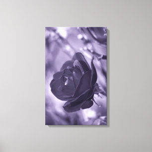Impressão em Tela com Rosa Roxa Envolta