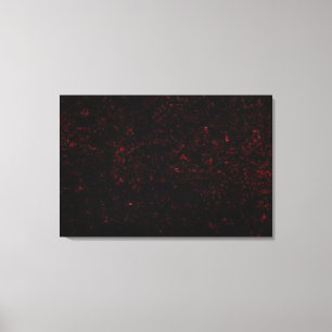 Impressão Em Tela Comet P:Shoemaker-Levy 9