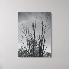 Impressão Em Tela Como Ashes de uma Phoenix