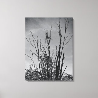 Impressão Em Tela Como Ashes de uma Phoenix